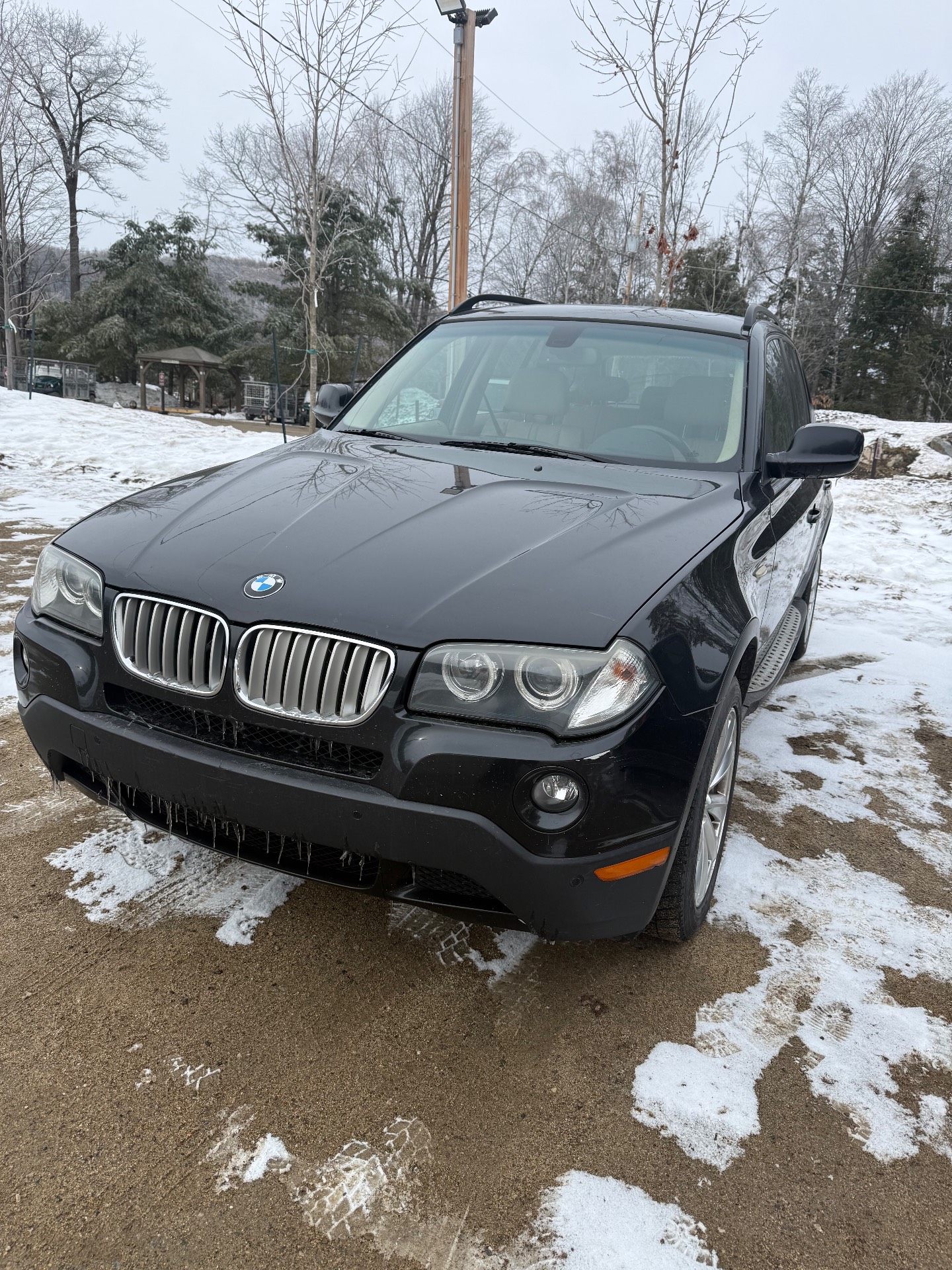 2010 BMW X3